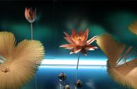 天貓店鋪怎樣推廣引流？