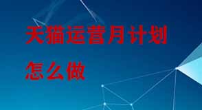 天貓運(yùn)營月計劃 天貓運(yùn)營月計劃