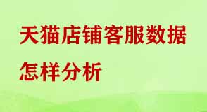 天貓店鋪客服數(shù)據(jù)
