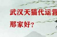 武漢天貓代運營那家好？