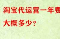 淘寶代運(yùn)營一年費(fèi)用大概多少？