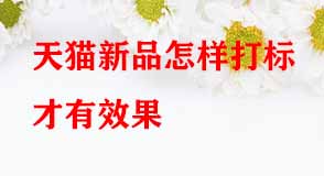 天貓新品怎樣打標才有效果 天貓新品怎樣打標才有效果
