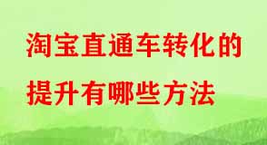 淘寶直通車轉(zhuǎn)化方法 淘寶直通車轉(zhuǎn)化方法
