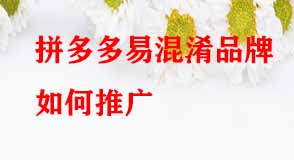 拼多多代運營 拼多多代運營