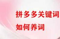 拼多多關(guān)鍵詞如何養(yǎng)？
