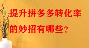 拼多多代運營 拼多多代運營