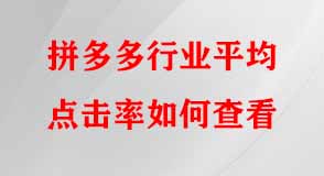 拼多多代運(yùn)營(yíng) 拼多多代運(yùn)營(yíng)