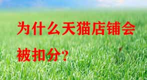 天貓代運營 天貓代運營