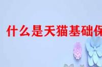 什么是天貓基礎(chǔ)保障？它的作用是什么？