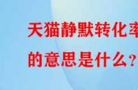 天貓靜默轉(zhuǎn)化率的意思是什么？