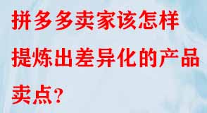 拼多多代運(yùn)營(yíng)