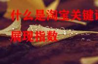 什么是淘寶關(guān)鍵詞展現(xiàn)指數(shù)？它的作用是什么？