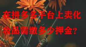 拼多多代運(yùn)營