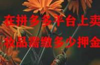 在拼多多平臺(tái)上賣化妝品需繳多少押金？