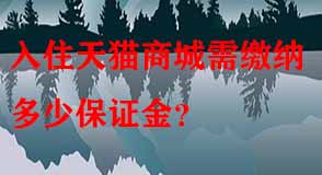 天貓代運(yùn)營(yíng) 天貓代運(yùn)營(yíng)