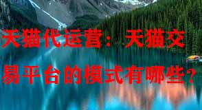 天貓代運營 天貓代運營