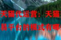 天貓代運營：天貓交易平臺的模式有哪些？