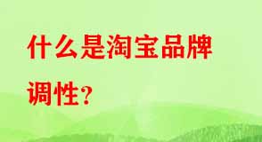 淘寶代運(yùn)營(yíng)