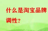 什么是淘寶品牌調(diào)性？