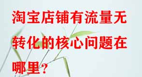 電商代運(yùn)營 電商代運(yùn)營