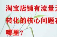 淘寶店鋪有流量無(wú)轉(zhuǎn)化的核心問題在哪里？