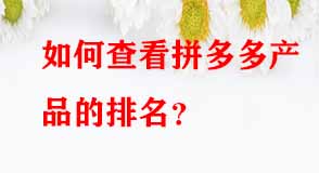 拼多多代運營 拼多多代運營