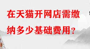 天貓代運營 天貓代運營