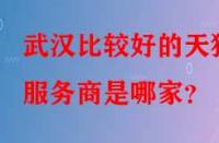 武漢比較好的天貓服務(wù)商是哪家？