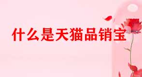 天貓代運(yùn)營 天貓代運(yùn)營