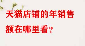 天貓代運營 天貓代運營