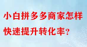 拼多多代運(yùn)營