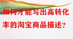 淘寶代運(yùn)營 淘寶代運(yùn)營