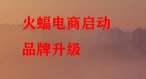 淘寶代運(yùn)營 淘寶代運(yùn)營