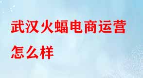 武漢火蝠電商運(yùn)營(yíng)怎么樣