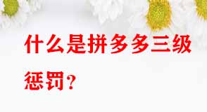 拼多多代運營 拼多多代運營
