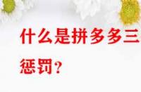什么是拼多多三級(jí)懲罰？