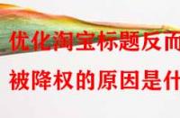 優(yōu)化淘寶標(biāo)題反而被降權(quán)的原因是什么？