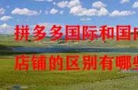 拼多多國際和國內(nèi)店鋪的區(qū)別有哪些？