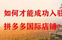 如何才能成功入駐拼多多國際店鋪？