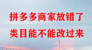 拼多多代運(yùn)營(yíng) 拼多多代運(yùn)營(yíng)