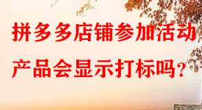 拼多多代運(yùn)營(yíng) 拼多多代運(yùn)營(yíng)