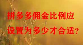 拼多多代運營 拼多多代運營