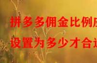 拼多多傭金比例應(yīng)設(shè)置為多少才合適？