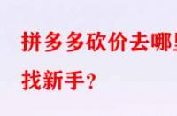 拼多多砍價去哪里找新手？