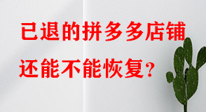 拼多多代運(yùn)營(yíng)