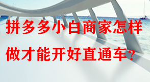 拼多多代運(yùn)營 拼多多代運(yùn)營