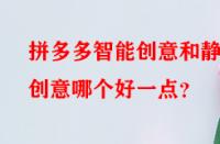 拼多多智能創(chuàng)意和靜態(tài)創(chuàng)意哪個(gè)好一點(diǎn)？