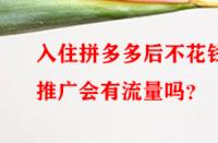 入住拼多多后不花錢(qián)推廣會(huì)有流量嗎？